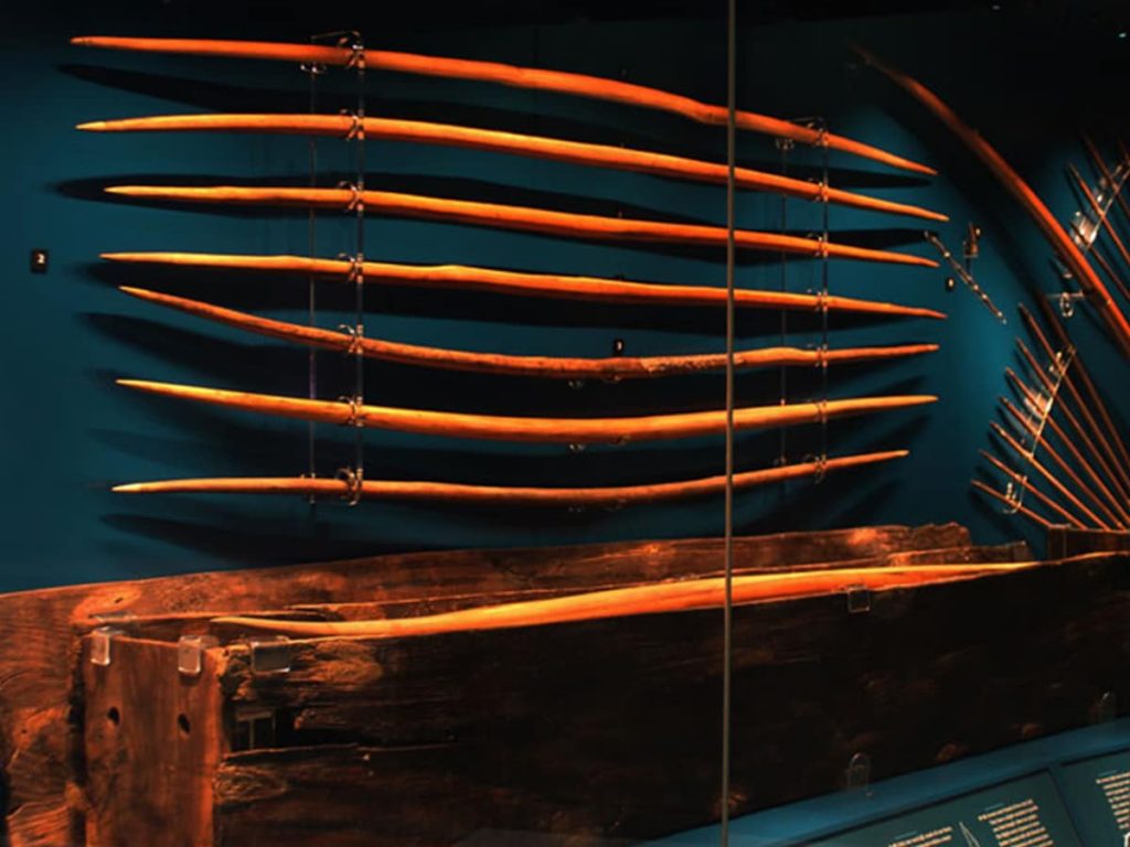 A display of longbows recovered from the Mary Rose, lined up in a museum case.